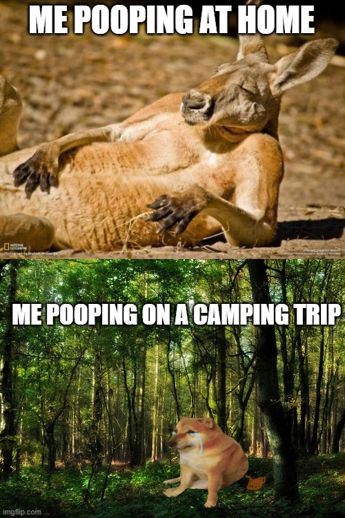 True | ME POOPING AT HOME; ME POOPING ON A CAMPING TRIP | image tagged in chillin kangaroo | made w/ Imgflip meme maker
