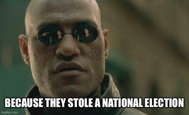 BECAUSE THEY STOLE A NATIONAL ELECTION | image tagged in memes,matrix morpheus | made w/ Imgflip meme maker