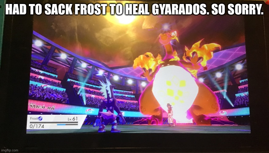 Nuzlocke. | HAD TO SACK FROST TO HEAL GYARADOS. SO SORRY. | image tagged in pokemon | made w/ Imgflip meme maker