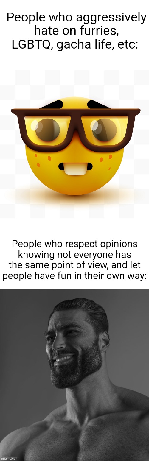 yes | People who aggressively hate on furries, LGBTQ, gacha life, etc:; People who respect opinions knowing not everyone has the same point of view, and let people have fun in their own way: | image tagged in blank white template,nerd emoji,giga chad | made w/ Imgflip meme maker