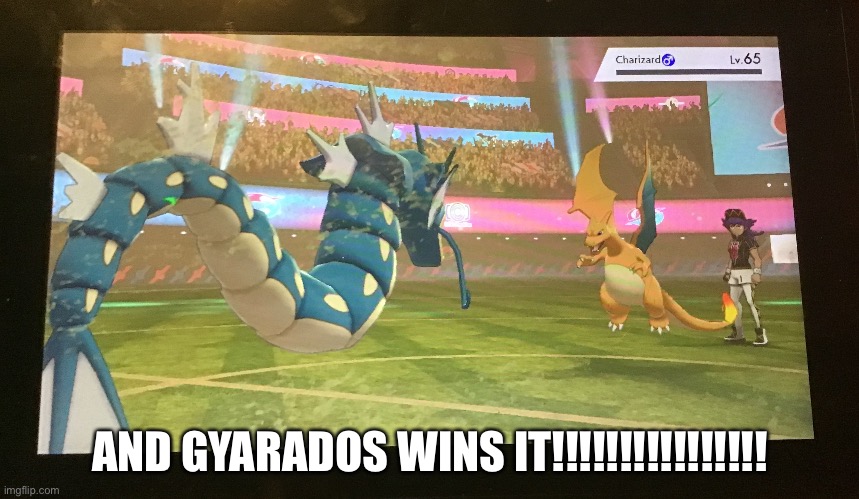 Nuzlocke. I WON MY FIRST NUZLOCKE | AND GYARADOS WINS IT!!!!!!!!!!!!!!!! | image tagged in pokemon | made w/ Imgflip meme maker