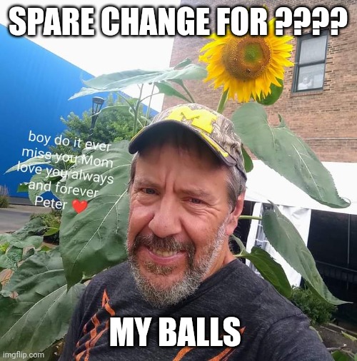 Peter Plant | SPARE CHANGE FOR ???? MY BALLS | image tagged in peter plant,balls,funny memes | made w/ Imgflip meme maker
