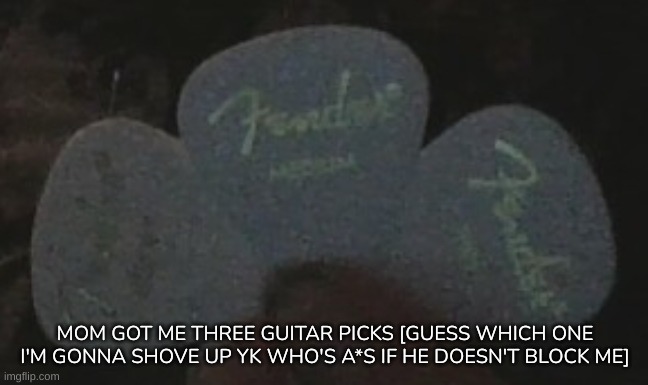 [The three guitar picks are: Thin, Medium, and Heavy] | MOM GOT ME THREE GUITAR PICKS [GUESS WHICH ONE I'M GONNA SHOVE UP YK WHO'S A*S IF HE DOESN'T BLOCK ME] | image tagged in idk,stuff,s o u p,carck | made w/ Imgflip meme maker