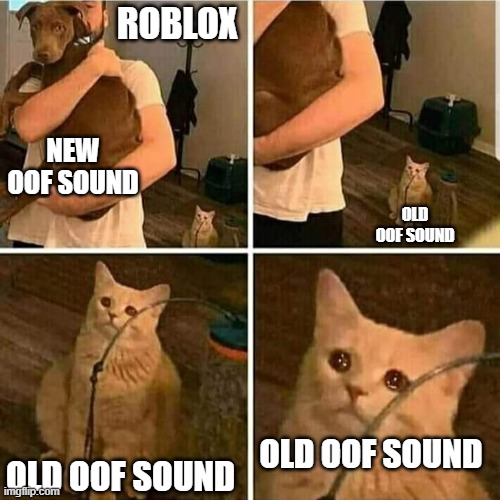 The old oof sound will never be forgotten | ROBLOX; NEW OOF SOUND; OLD OOF SOUND; OLD OOF SOUND; OLD OOF SOUND | image tagged in sad cat holding dog | made w/ Imgflip meme maker