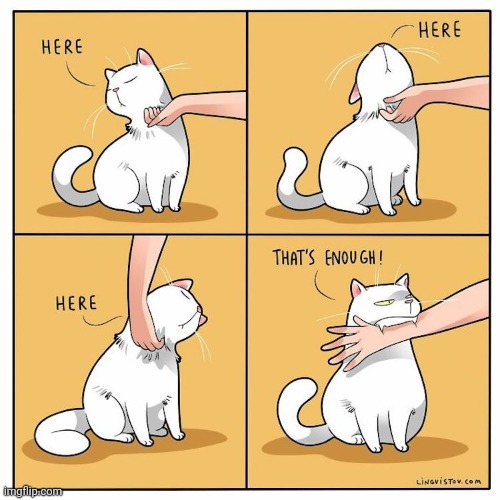 Life with cats | image tagged in cats,cat,cartoon,comics | made w/ Imgflip meme maker
