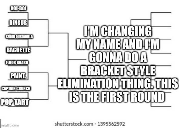 Idfk | I'M CHANGING MY NAME AND I'M GONNA DO A BRACKET STYLE ELIMINATION THING. THIS IS THE FIRST ROUND; KOI-BOI; DINGUS; SEÑOR QUESADILLA; BAGUETTE; FLOOR BOARD; PAINT. CAPTAIN CRUNCH; POP TART | made w/ Imgflip meme maker