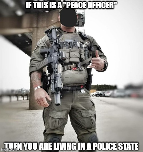 Killer Cops |  IF THIS IS A "PEACE OFFICER"; THEN YOU ARE LIVING IN A POLICE STATE | image tagged in cops,revolution | made w/ Imgflip meme maker