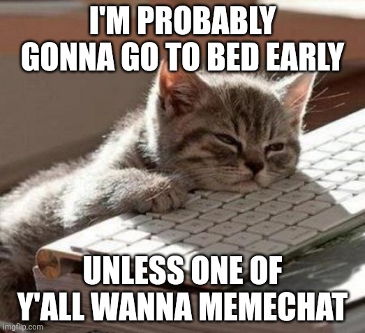 tired cat | I'M PROBABLY GONNA GO TO BED EARLY; UNLESS ONE OF Y'ALL WANNA MEMECHAT | image tagged in tired cat | made w/ Imgflip meme maker