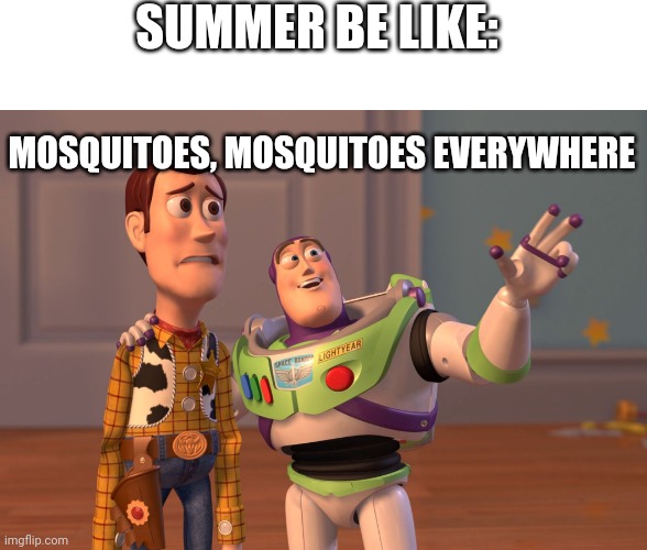 X, X Everywhere Meme | SUMMER BE LIKE:; MOSQUITOES, MOSQUITOES EVERYWHERE | image tagged in memes,x x everywhere | made w/ Imgflip meme maker