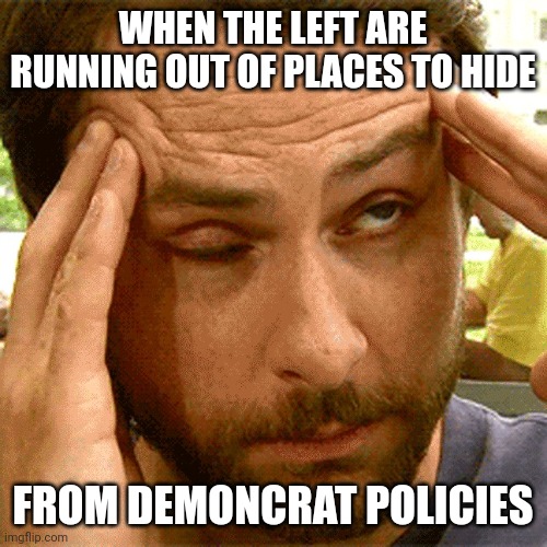 Hard to back a mule at a horse race | WHEN THE LEFT ARE RUNNING OUT OF PLACES TO HIDE; FROM DEMONCRAT POLICIES | image tagged in charlie fed up | made w/ Imgflip meme maker