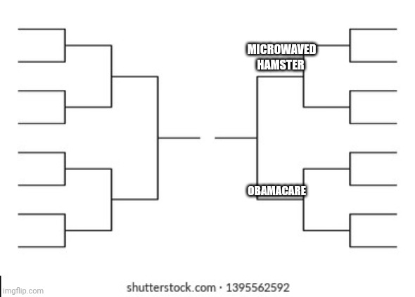 MICROWAVED HAMSTER; OBAMACARE | made w/ Imgflip meme maker