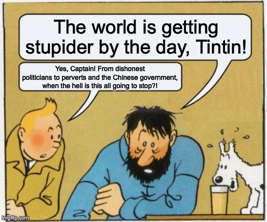 Tintin and Captain Haddock are displeased with the world | The world is getting stupider by the day, Tintin! Yes, Captain! From dishonest politicians to perverts and the Chinese government, when the hell is this all going to stop?! | image tagged in tintin and haddock | made w/ Imgflip meme maker