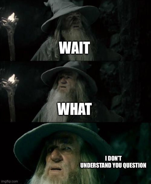 Confused Gandalf Meme | WAIT WHAT I DON’T UNDERSTAND YOU QUESTION | image tagged in memes,confused gandalf | made w/ Imgflip meme maker