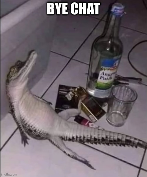 drunk crocodile | BYE CHAT | image tagged in drunk crocodile | made w/ Imgflip meme maker