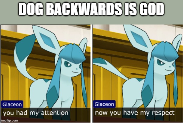 glaceon attention the respect | DOG BACKWARDS IS GOD | image tagged in glaceon attention the respect | made w/ Imgflip meme maker