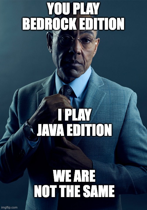 we are not the same | YOU PLAY BEDROCK EDITION; I PLAY JAVA EDITION; WE ARE NOT THE SAME | image tagged in gus fring we are not the same | made w/ Imgflip meme maker