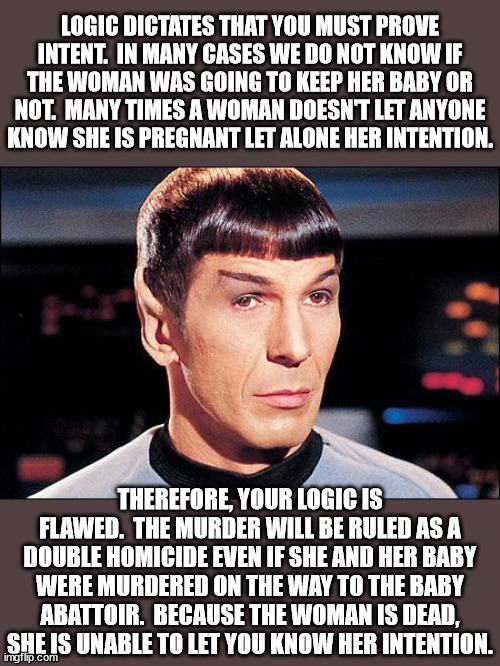 Condescending Spock | LOGIC DICTATES THAT YOU MUST PROVE INTENT.  IN MANY CASES WE DO NOT KNOW IF THE WOMAN WAS GOING TO KEEP HER BABY OR NOT.  MANY TIMES A WOMAN | image tagged in condescending spock | made w/ Imgflip meme maker