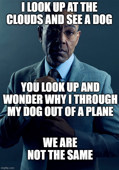 Gus Fring we are not the same | I LOOK UP AT THE CLOUDS AND SEE A DOG; YOU LOOK UP AND WONDER WHY I THROUGH MY DOG OUT OF A PLANE; WE ARE NOT THE SAME | image tagged in gus fring we are not the same,dog,planee,meme,funny,rip queen | made w/ Imgflip meme maker