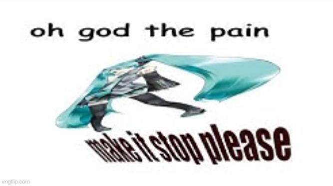 oh god the pain | image tagged in oh god the pain | made w/ Imgflip meme maker