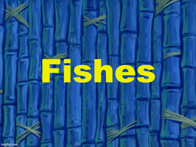Fishes?? | Fishes | image tagged in spongebob title card meme | made w/ Imgflip meme maker