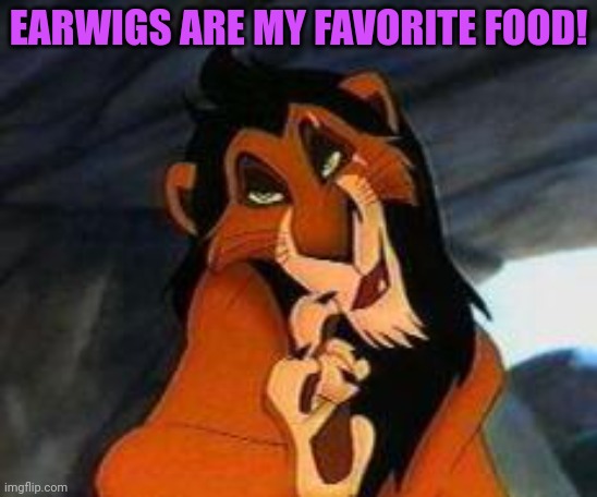scar lion king | EARWIGS ARE MY FAVORITE FOOD! | image tagged in scar lion king | made w/ Imgflip meme maker