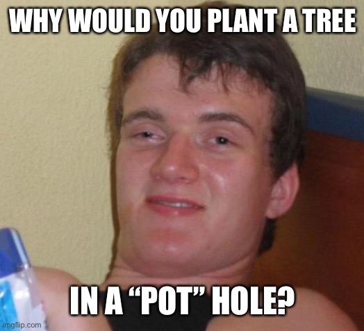 10 Guy Meme | WHY WOULD YOU PLANT A TREE IN A “POT” HOLE? | image tagged in memes,10 guy | made w/ Imgflip meme maker