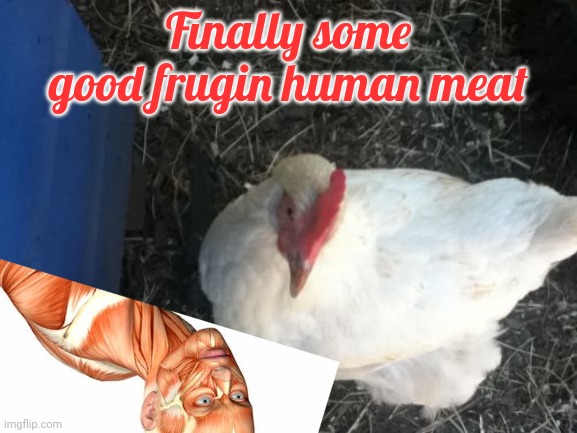 Angry Chicken Boss Meme | Finally some good frugin human meat | image tagged in memes,angry chicken boss | made w/ Imgflip meme maker