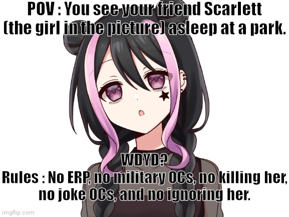 POV : You see your friend Scarlett (the girl in the picture) asleep at a park. WDYD?
Rules : No ERP, no military OCs, no killing her, no joke OCs, and no ignoring her. | made w/ Imgflip meme maker