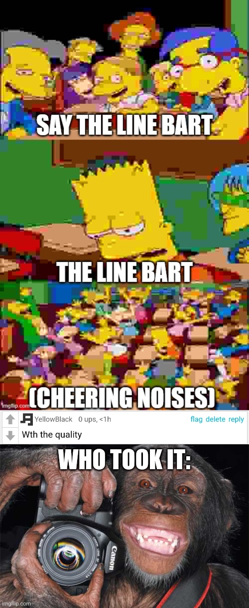 WHO TOOK IT: | image tagged in camera monkey | made w/ Imgflip meme maker