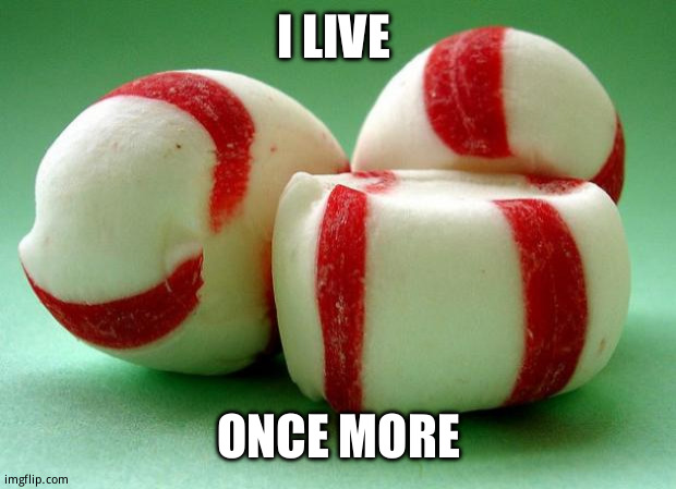 Mints | I LIVE; ONCE MORE | image tagged in mints | made w/ Imgflip meme maker