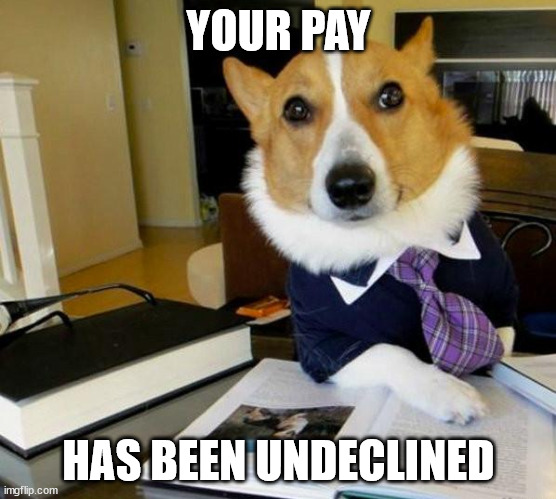 YOUR PAY HAS BEEN UNDECLINED | image tagged in lawyer corgi dog | made w/ Imgflip meme maker
