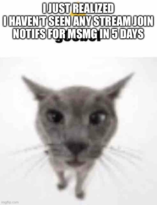 Goober | I JUST REALIZED
I HAVEN’T SEEN ANY STREAM JOIN NOTIFS FOR MSMG IN 5 DAYS | image tagged in goober | made w/ Imgflip meme maker