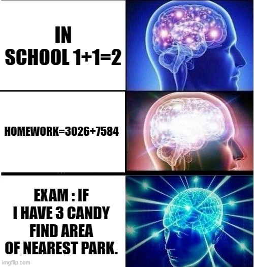 as a teenager i used to laugh at this kind of (exaggerated) memes. NOW I AM CRYING IN PAIN AT REALITY. | IN SCHOOL 1+1=2; HOMEWORK=3026+7584; EXAM : IF I HAVE 3 CANDY FIND AREA OF NEAREST PARK. | image tagged in expanding brain 3 panels | made w/ Imgflip meme maker