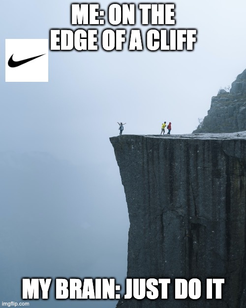 Just do it | ME: ON THE EDGE OF A CLIFF; MY BRAIN: JUST DO IT | image tagged in memes | made w/ Imgflip meme maker