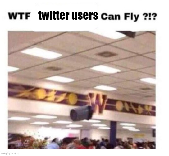 WTF --------- Can Fly ?!? | twitter users | image tagged in wtf --------- can fly | made w/ Imgflip meme maker