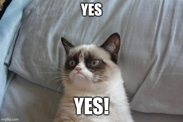 Grumpy Cat Bed Meme | YES YES! | image tagged in memes,grumpy cat bed,grumpy cat | made w/ Imgflip meme maker