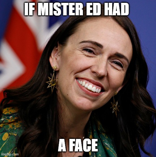Arden is Mr. Ed. |  IF MISTER ED HAD; A FACE | image tagged in jacinda ardern,australia,tyrant,teeth,horse | made w/ Imgflip meme maker