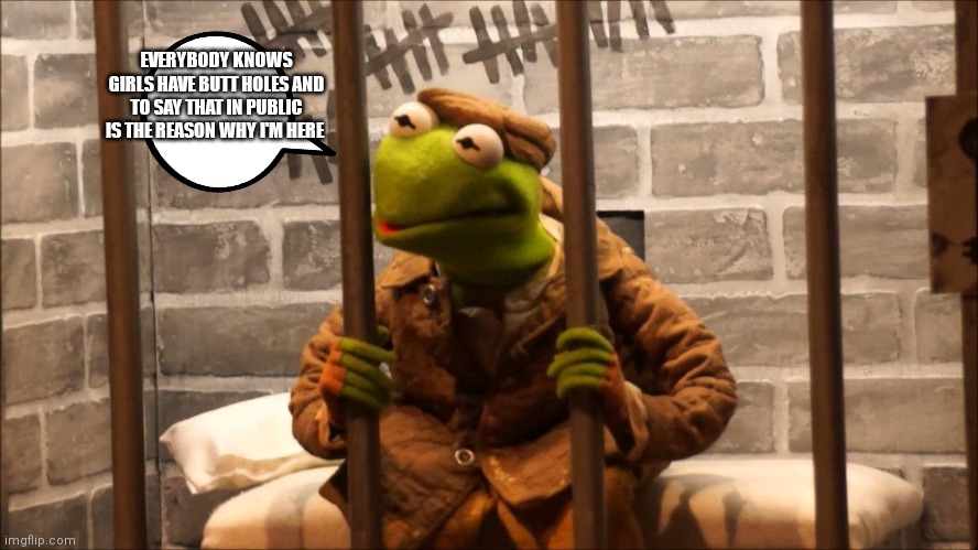 Kermit got locked up | EVERYBODY KNOWS GIRLS HAVE BUTT HOLES AND TO SAY THAT IN PUBLIC IS THE REASON WHY I'M HERE | image tagged in kermit in jail,funny memes | made w/ Imgflip meme maker