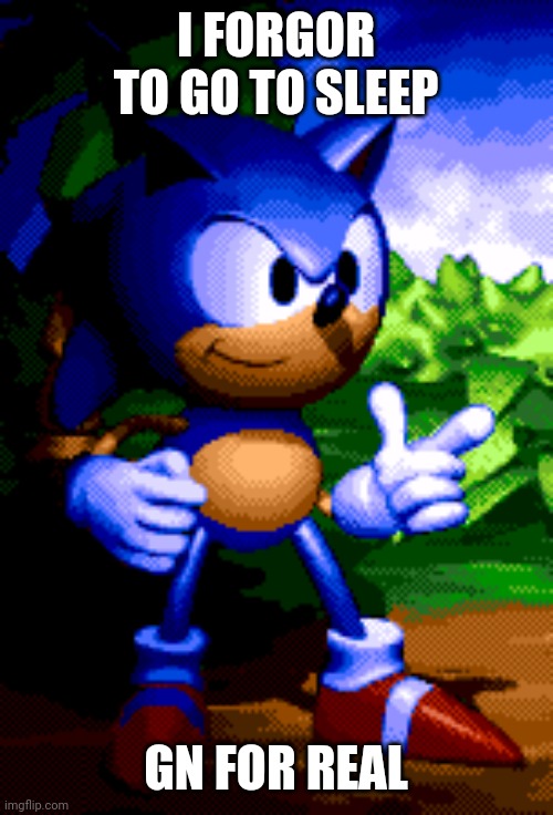 Regular Sonic | I FORGOR TO GO TO SLEEP; GN FOR REAL | image tagged in regular sonic | made w/ Imgflip meme maker