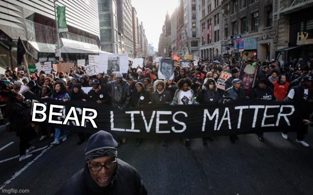 Black lives matter | BEAR | image tagged in black lives matter | made w/ Imgflip meme maker