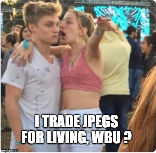 Bro Girl Explaining | I TRADE JPEGS FOR LIVING, WBU ? | image tagged in bro girl explaining | made w/ Imgflip meme maker