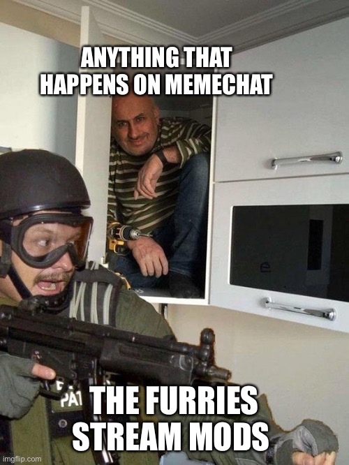 Man hiding in cubboard from SWAT template | ANYTHING THAT HAPPENS ON MEMECHAT THE FURRIES STREAM MODS | image tagged in man hiding in cubboard from swat template | made w/ Imgflip meme maker