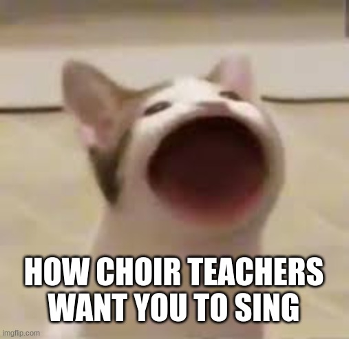Choir | HOW CHOIR TEACHERS WANT YOU TO SING | image tagged in school,choir,teachers,memes | made w/ Imgflip meme maker
