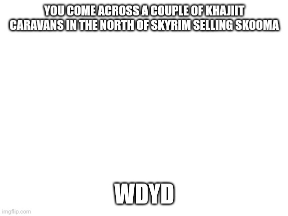 Blank White Template | YOU COME ACROSS A COUPLE OF KHAJIIT CARAVANS IN THE NORTH OF SKYRIM SELLING SKOOMA; WDYD | image tagged in blank white template | made w/ Imgflip meme maker