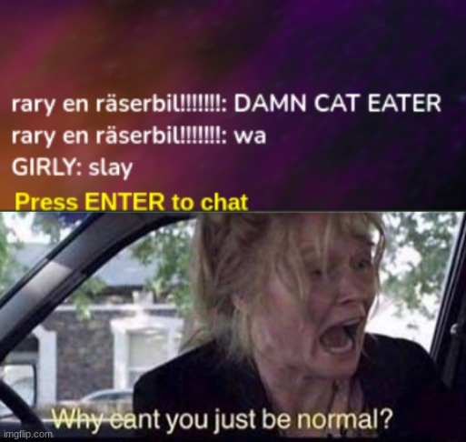Shell shockers have weird chats | image tagged in why can't you just be normal | made w/ Imgflip meme maker