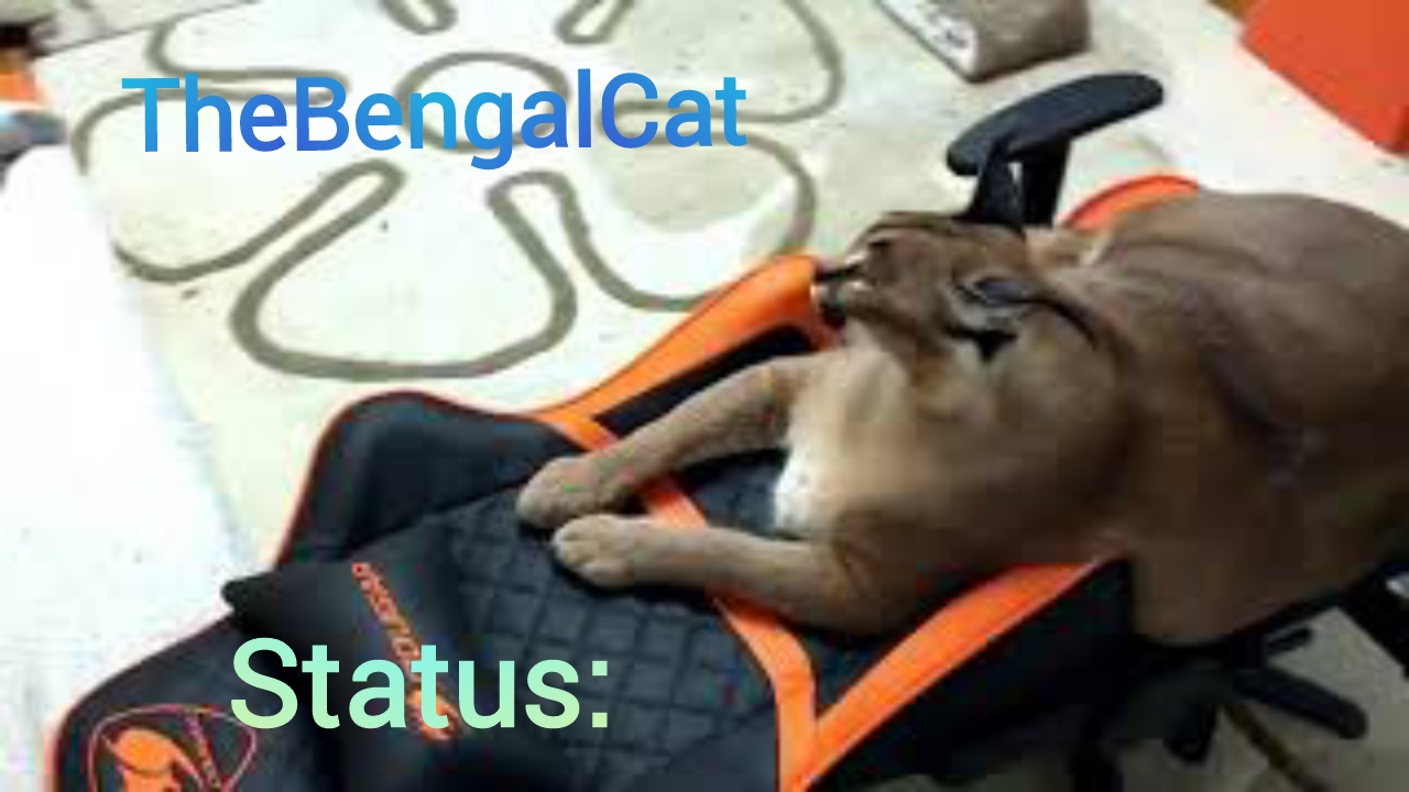 TheBengalCat Annoucment template with floppa Blank Meme Template