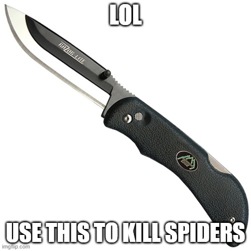knife | LOL; USE THIS TO KILL SPIDERS | image tagged in knife | made w/ Imgflip meme maker