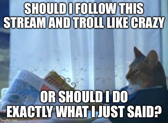 don’t worry I’m  not a harasser just i’m curious to see how much these mods with tolerate me | SHOULD I FOLLOW THIS STREAM AND TROLL LIKE CRAZY; OR SHOULD I DO EXACTLY WHAT I JUST SAID? | image tagged in memes,i should buy a boat cat | made w/ Imgflip meme maker
