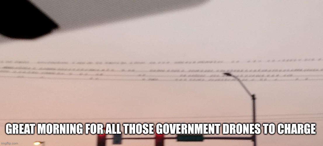 Birbs | GREAT MORNING FOR ALL THOSE GOVERNMENT DRONES TO CHARGE | image tagged in birb | made w/ Imgflip meme maker