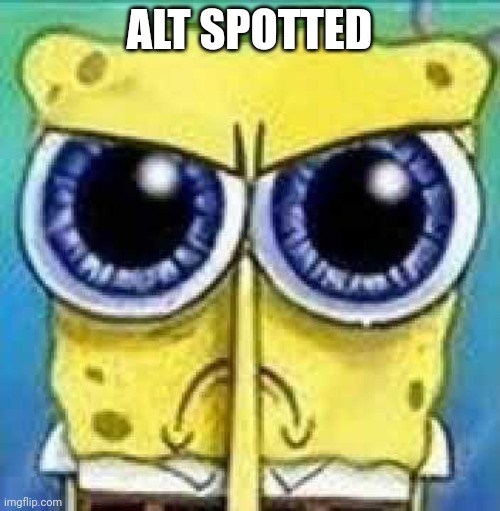 Angry Spunch Bop | ALT SPOTTED | image tagged in angry spunch bop | made w/ Imgflip meme maker